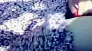 Pakistani Pathani fucked in field