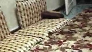 Turkish wife talking to phone & playing..