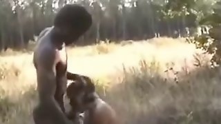 Troia in africa