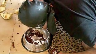 Dog Food, Mistress Golden Feet