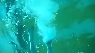 Underwater Holly
