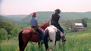 The Pussycat Ranch